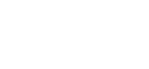 Syan Real Estate logo